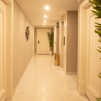 1 BHK Studio Hoterl Serveic Apartmnet